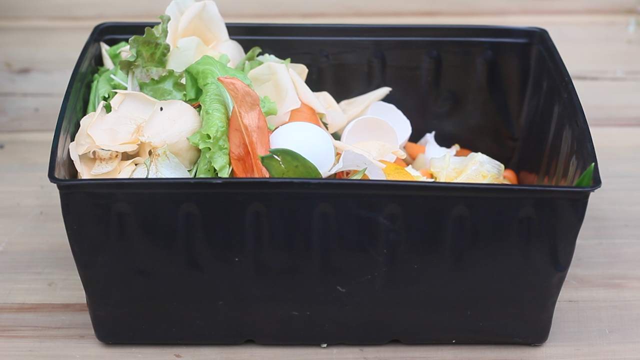 Compostagem Comunitária: Unindo Forças por um Mundo Mais Verde - inspiração 1