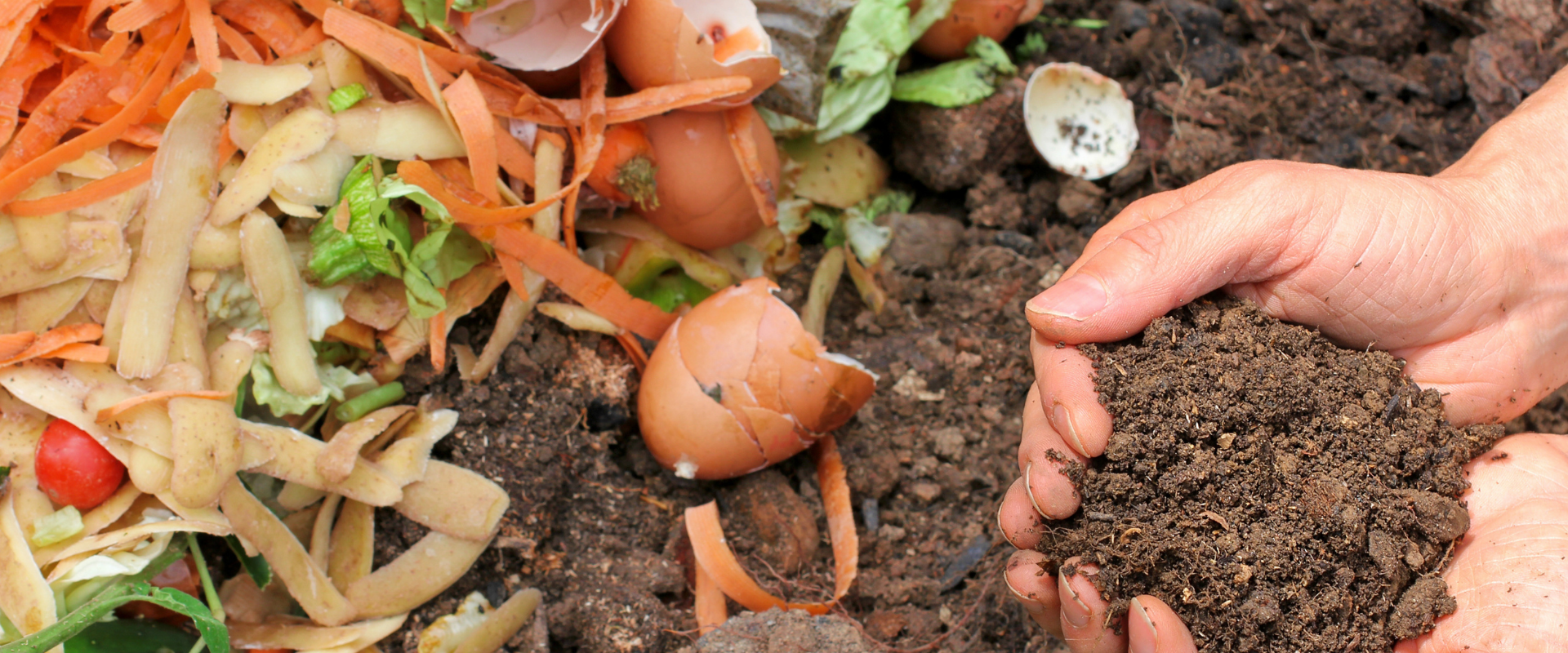 Compostagem Comunitária: Unindo Forças por um Mundo Mais Verde - inspiração 3