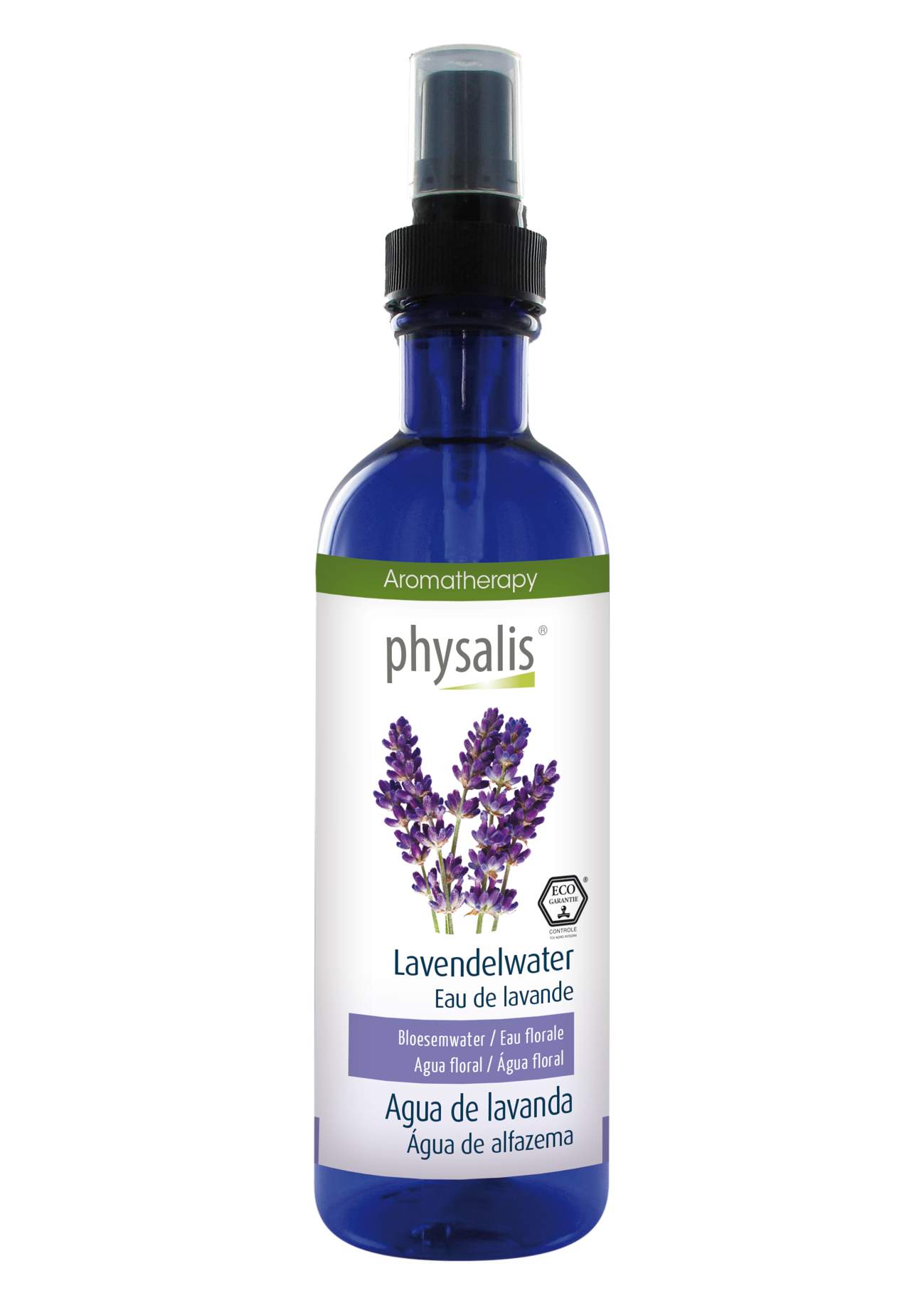 Infusão de Alfazema em Leite: Para Sobremesas Cremosas - inspiração 3