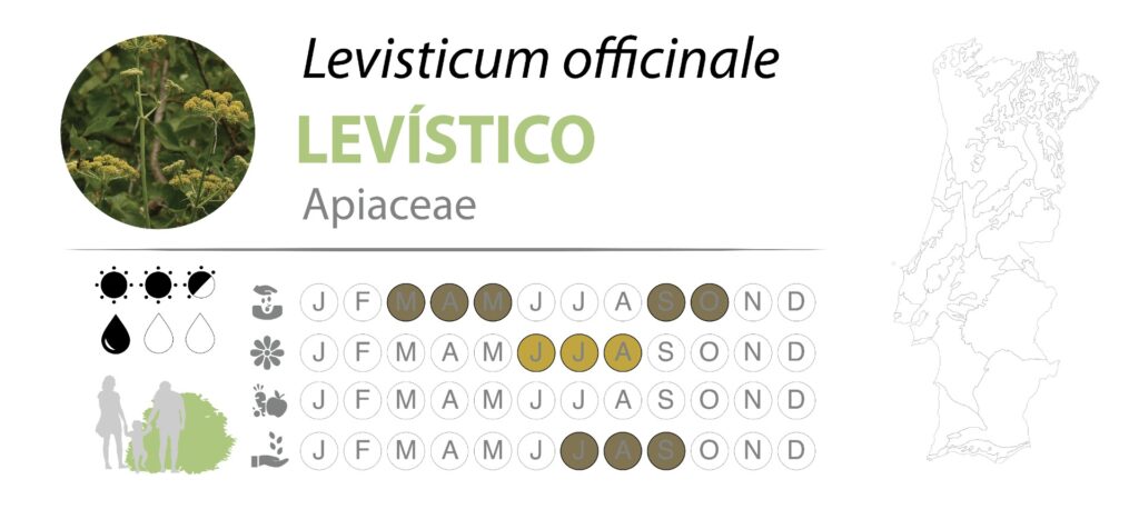 Carnes e Peixes Aromatizados: A Marinada Perfeita para Sabores Intensos - inspiração 3
