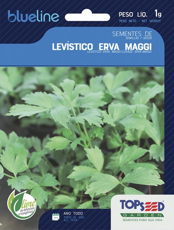 Pães e Biscoitos Aromáticos: O Segredo das Sementes do Levístico - inspiração 1