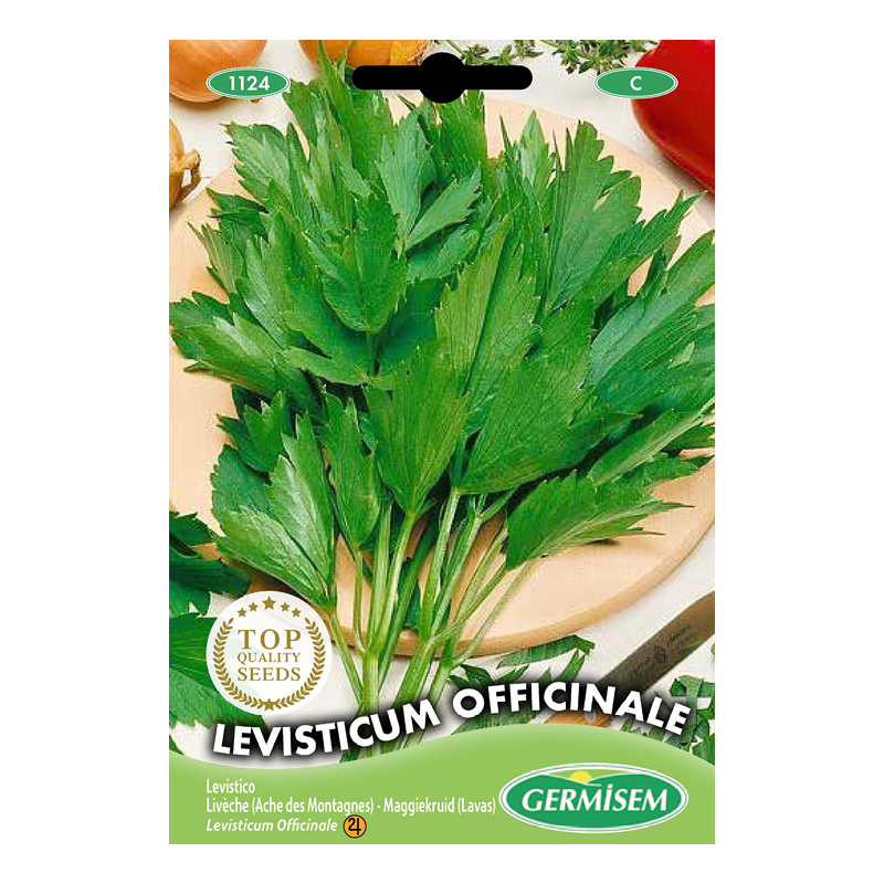 Digestão Leve e Feliz: Chás de Levístico para o Conforto Abdominal - inspiração 1