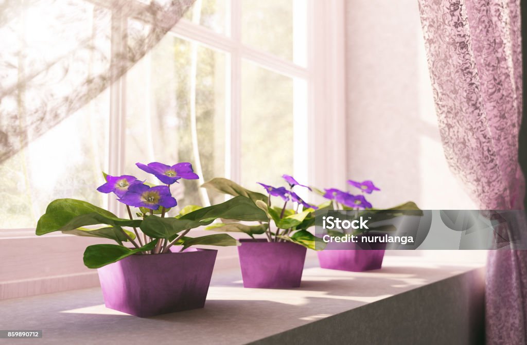 Desvende os Mistérios do Desencarne: Uma Perspectiva Amorosa - inspiração 2