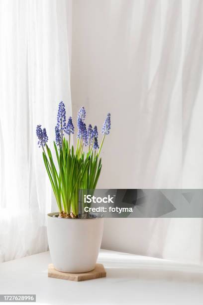 Expanda sua Compreensão sobre o Plano Espiritual: Um Guia Prático - inspiração 1