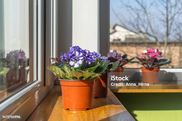 Transforme o Medo em Esperança: Desmistificando a Morte - inspiração 2