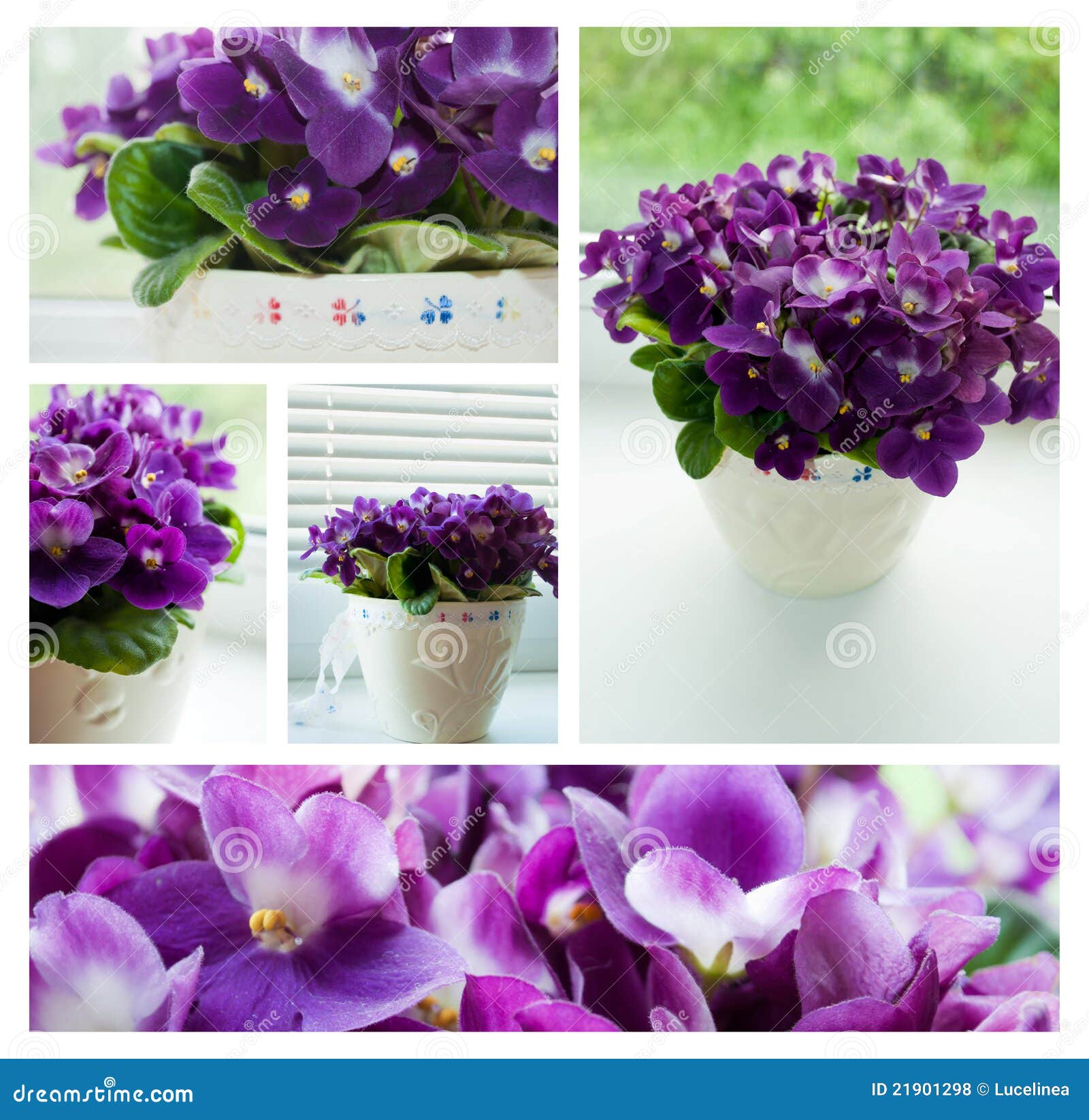 Aprenda a Perdoar e Seguir em Frente: Lições de Renovação Espiritual - inspiração 1