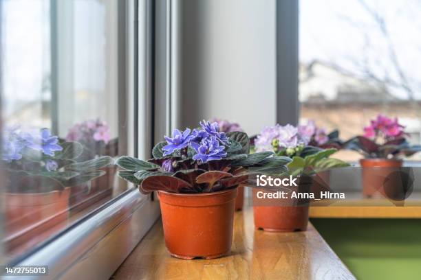 Desenvolva a Empatia: Conectando-se com o Mundo Espiritual - inspiração 1