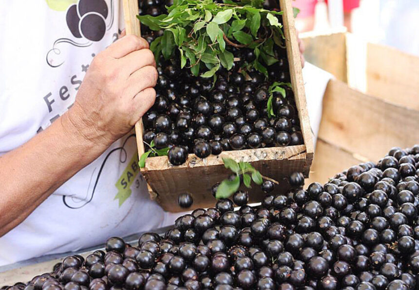 Festival da Jabuticaba: Planeje sua Visita a Sabará (MG) - inspiração 2