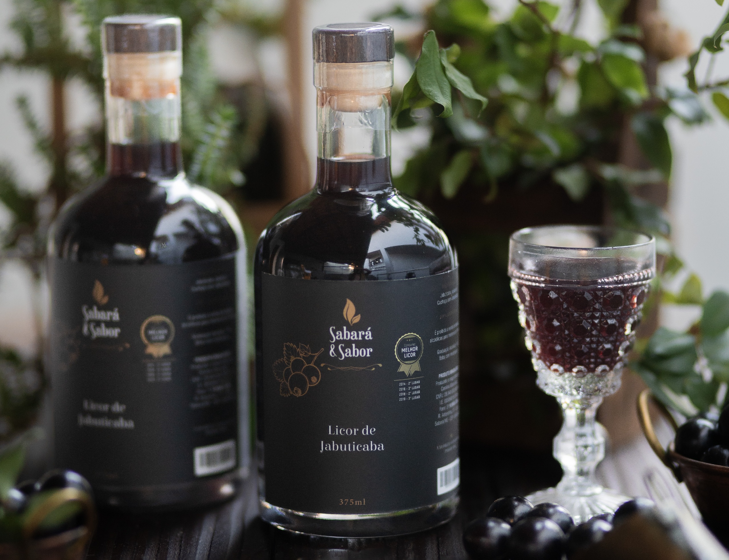 Jabuticaba na Cozinha: Receitas Incríveis e Fáceis de Fazer - inspiração 2