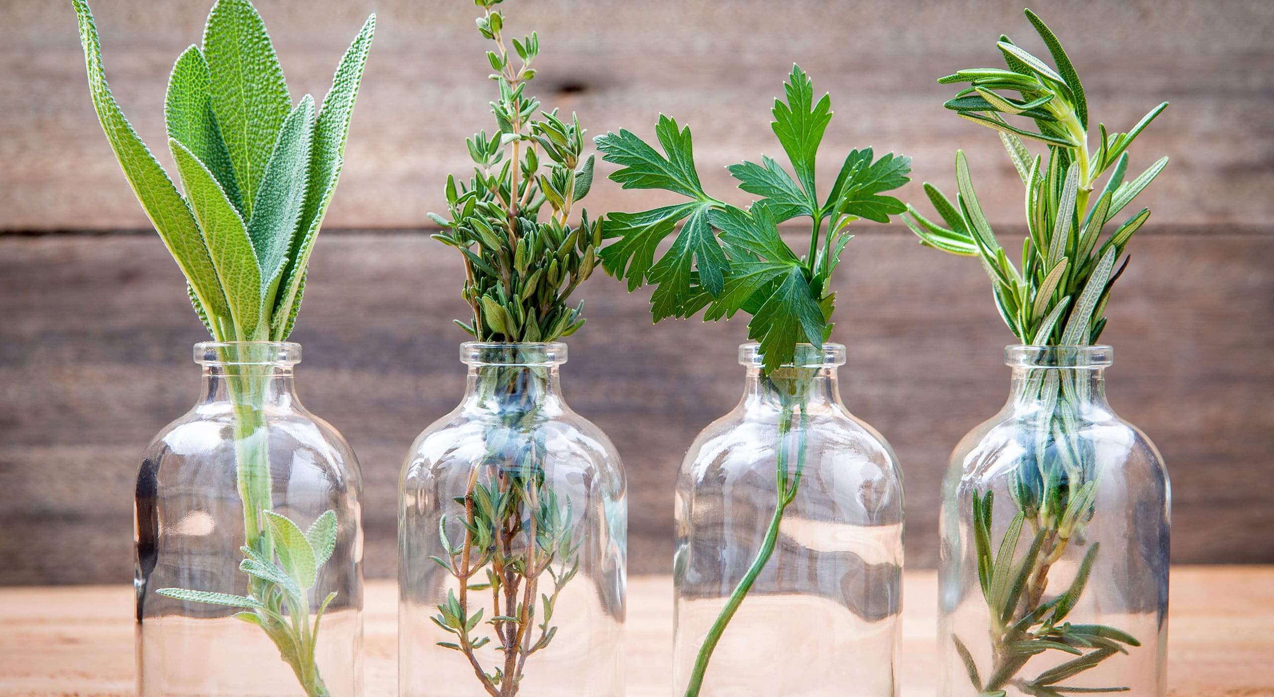 Para um Sono Tranquilo: Ritual Noturno com Lavanda - inspiração 2