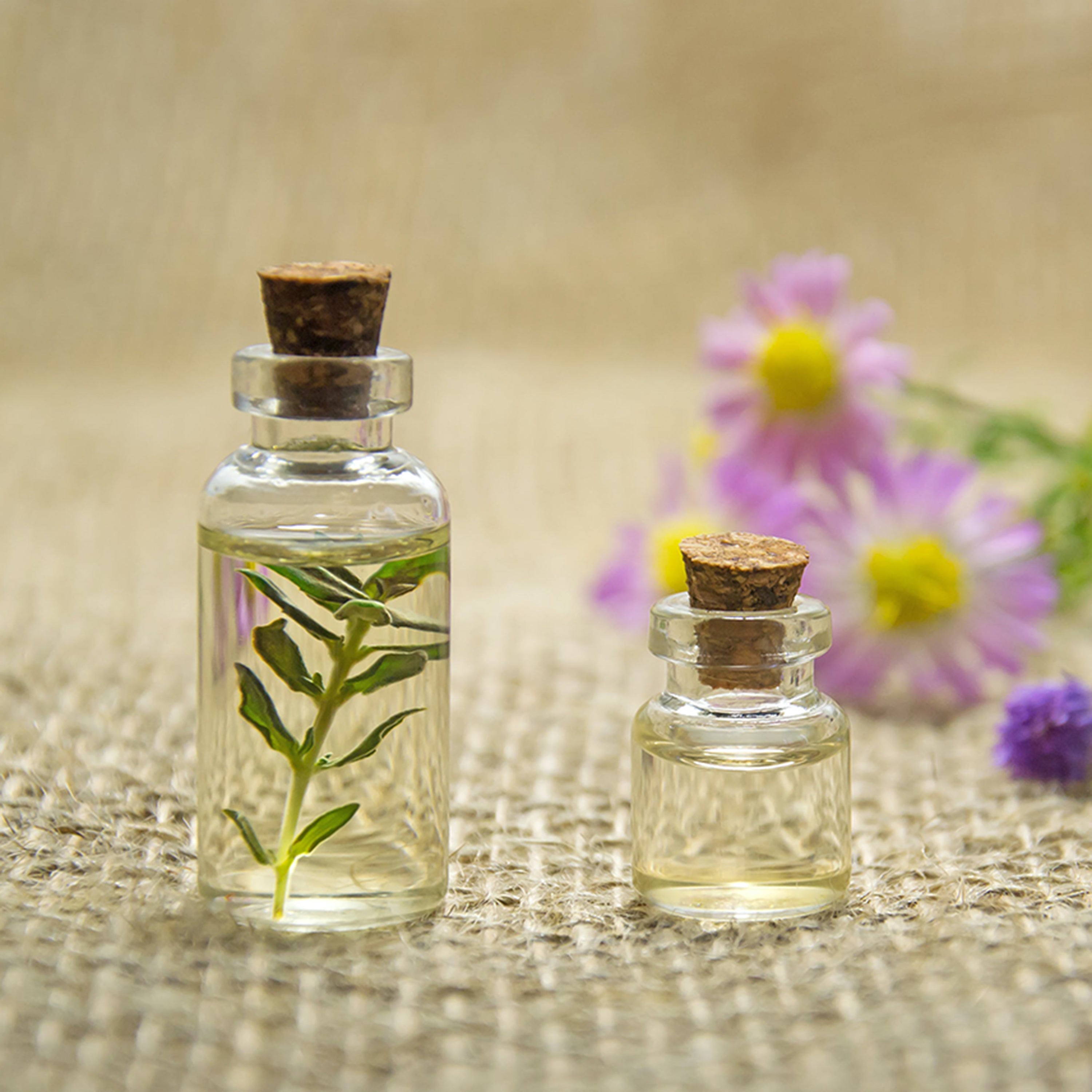 Pele Radiante: Tratamento Anti-Acne com Melaleuca (Tea Tree) - inspiração 1