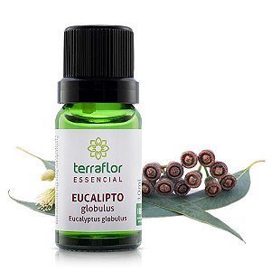 Energia e Foco: Difusão de Limão para Estimular a Concentração - inspiração 2