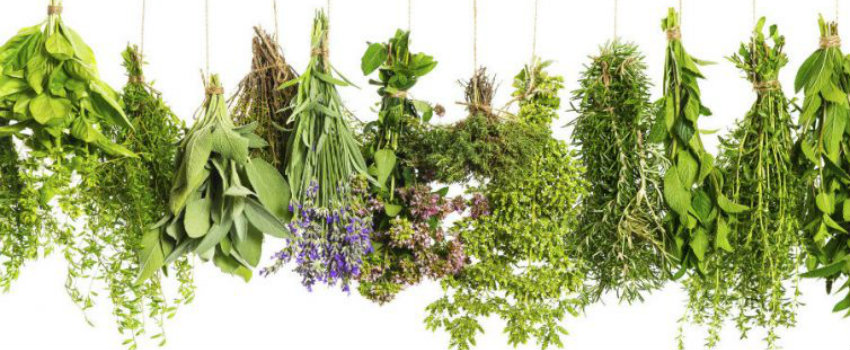 Energia e Foco: Difusão de Limão para Estimular a Concentração - inspiração 3