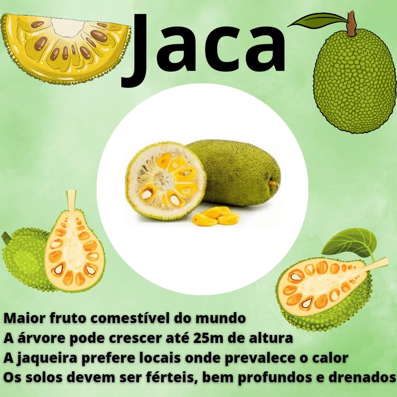 Versatilidade na Cozinha: Do Salgado ao Doce, Uma Delícia - inspiração 2