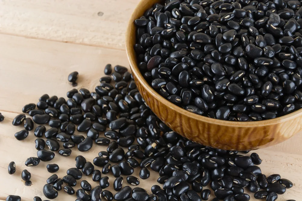 Mais que Comida: Feijão Preto como Fonte de Bem-Estar Integral - inspiração 1