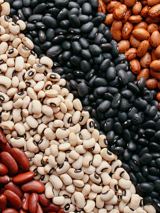 Músculos Definidos? Sim! A Proteína Vegetal que te Ajuda a Alcançar seus Objetivos - inspiração 1