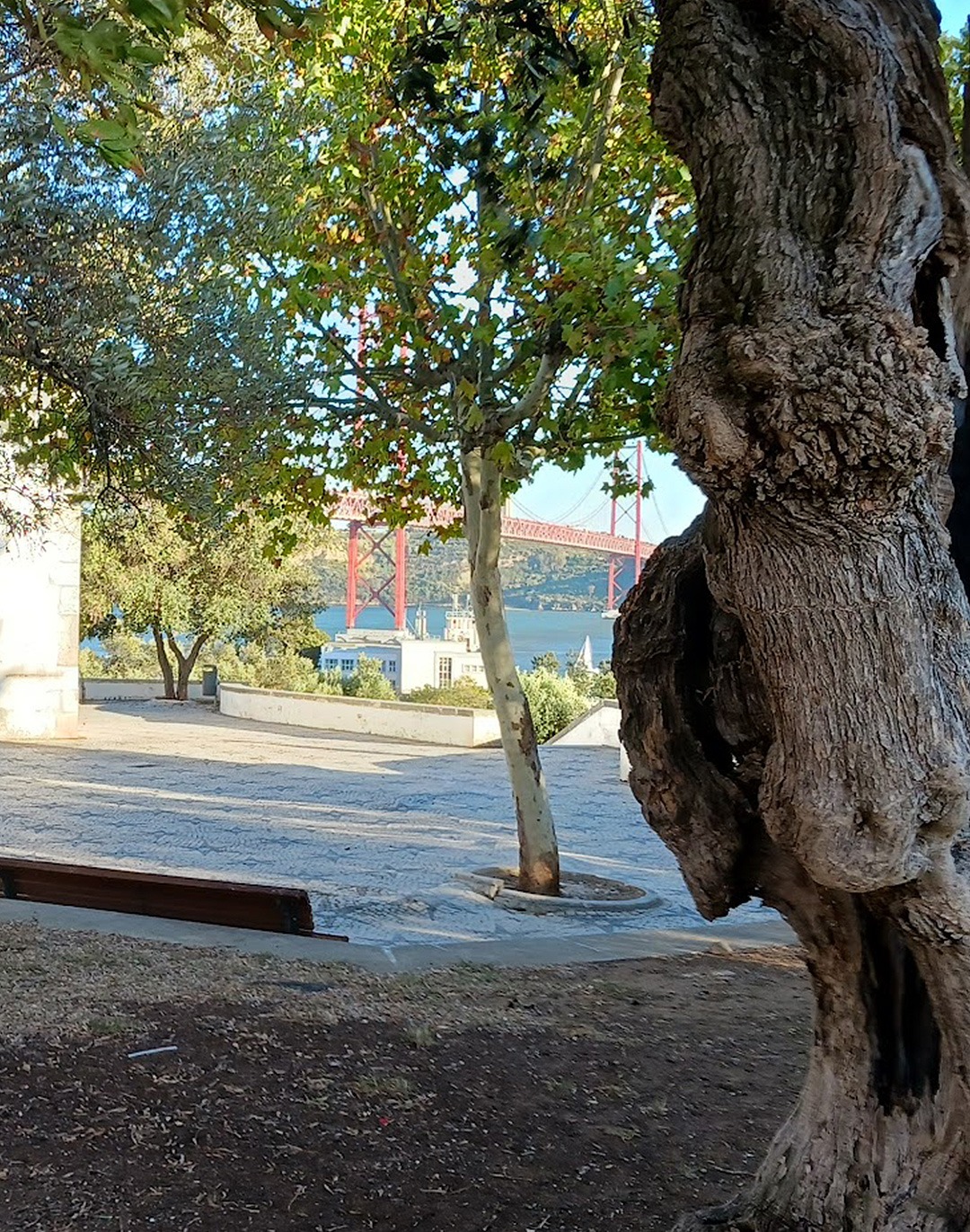 a beleza das plantas imperfeitas