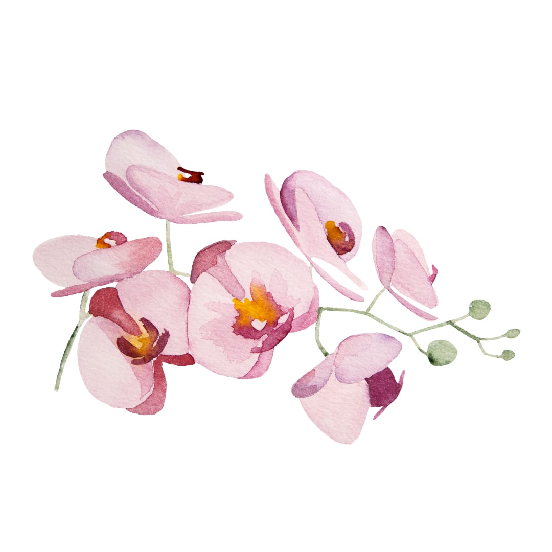 1. Como o Wabi-Sabi Influencia o Design de Jardins. 2. A Ciência por Trás das Flores Imperfeitas: Um Guia Botânico. 3. Decoração com Plantas Secas: Tendências e Dicas. 4. O Simbolismo das Imperfeições na Natureza e na Arte. 5. Explorando o Design Orgânico em Ambientes Internos.