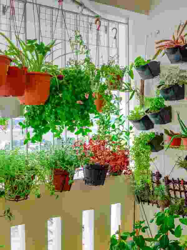 a beleza das plantas imperfeitas