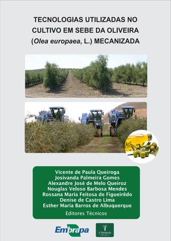 1. Como o Wabi-Sabi Influencia o Design de Jardins. 2. A Ciência por Trás das Flores Imperfeitas: Um Guia Botânico. 3. Decoração com Plantas Secas: Tendências e Dicas. 4. O Simbolismo das Imperfeições na Natureza e na Arte. 5. Explorando o Design Orgânico em Ambientes Internos.