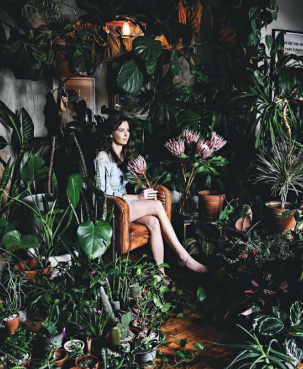 a beleza das plantas imperfeitas