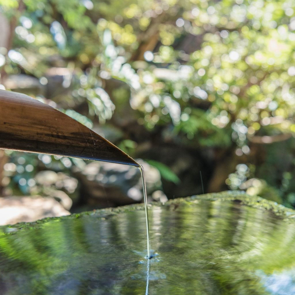 a filosofia wabi-sabi na jardinagem