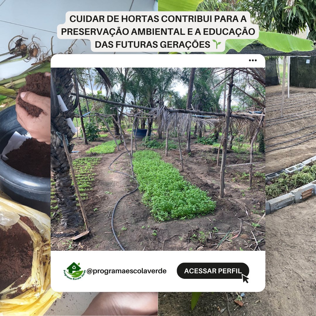 Compostagem em Casa: Transforme Lixo Orgânico em Vida para Sua Horta