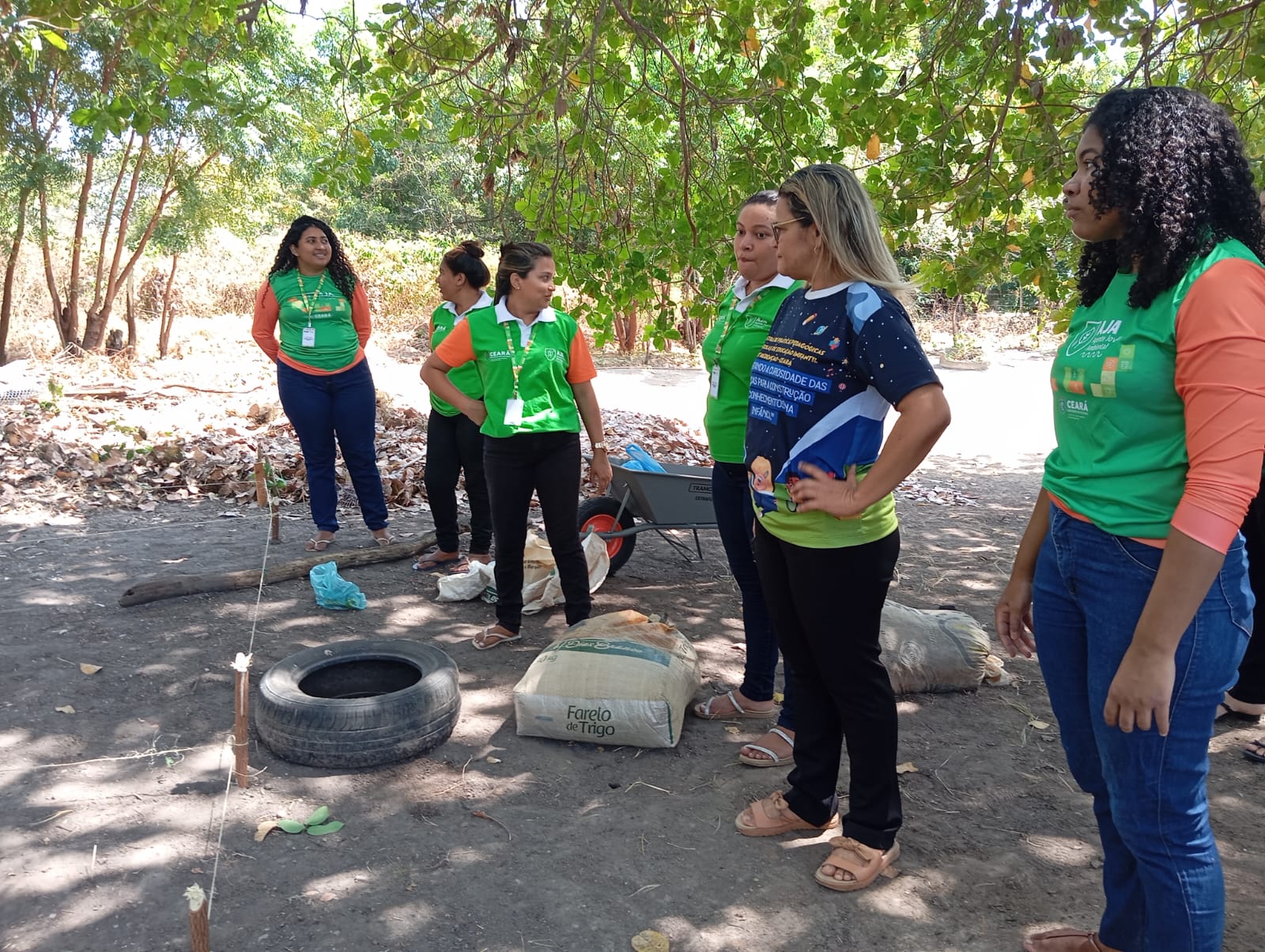 Horta Urbana: Um Caminho para a Soberania Alimentar em Grandes Cidades