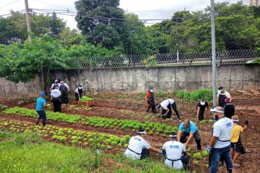 Projetos de Horta Comunitária que Transformaram Vidas no Brasil