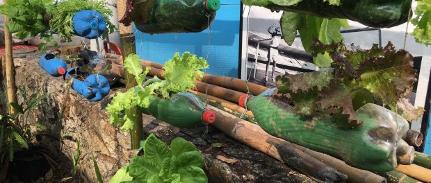 Guia Completo: Como Montar Sua Primeira Horta Comunitária