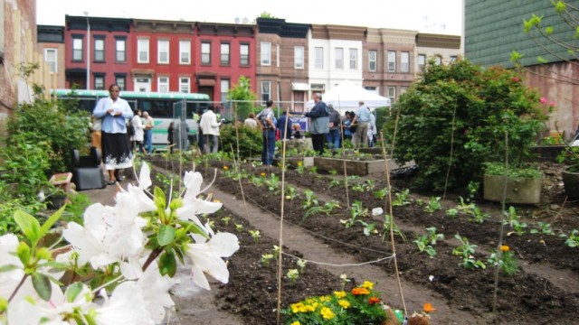 Benefícios das hortas comunitárias para a saúde mental