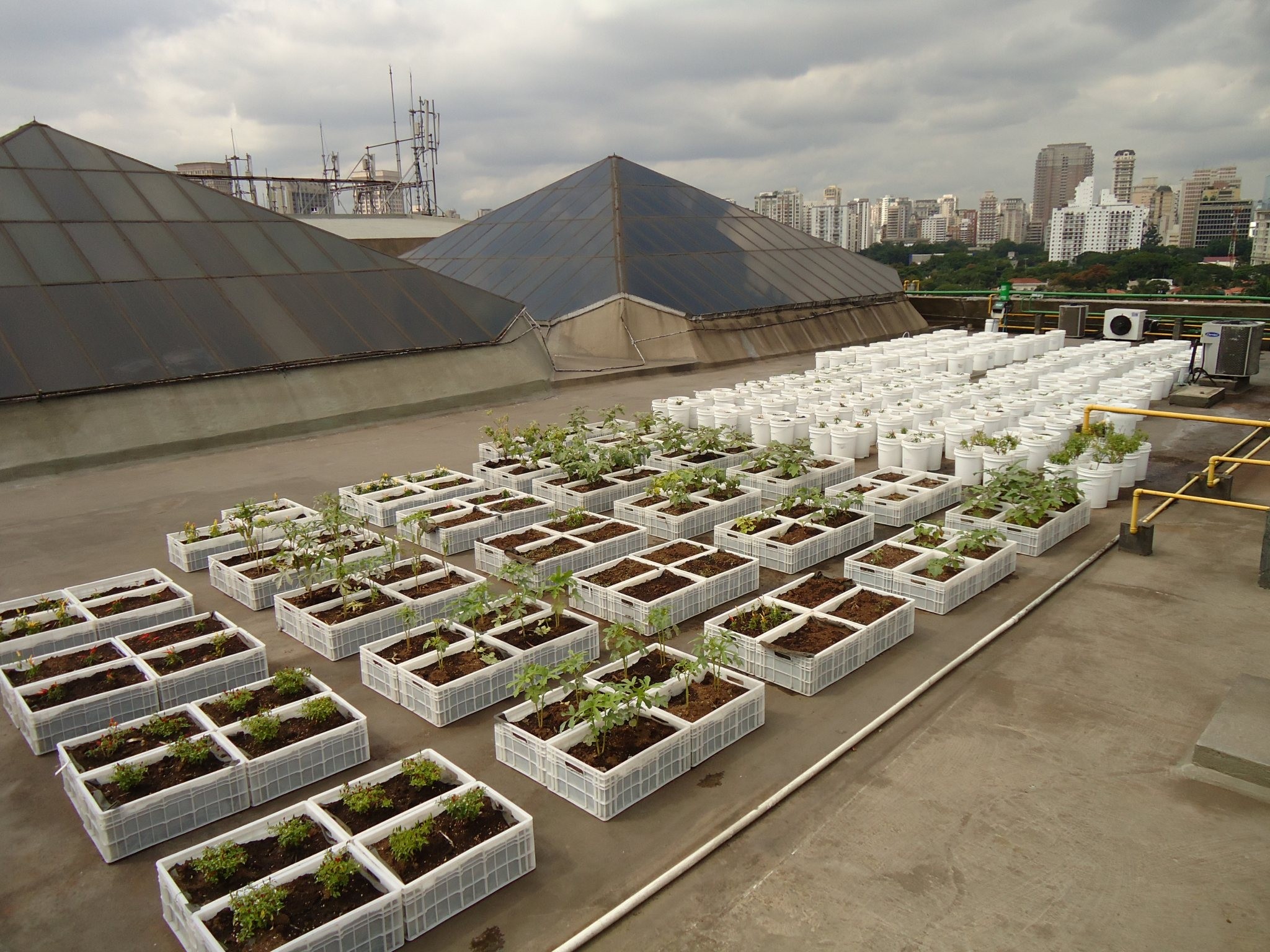 Guia completo de fazendas verticais