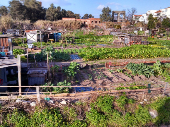 5 cidades que são referência em agricultura urbana