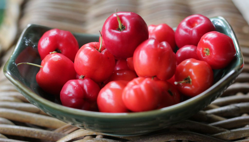 vitamina c acerola
