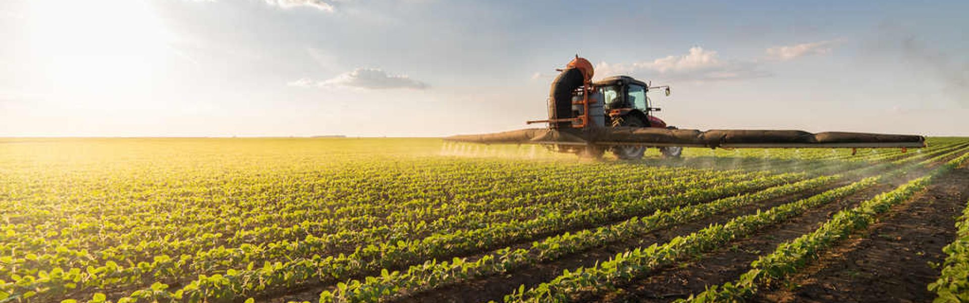 Guia completo de adubação foliar para hortas