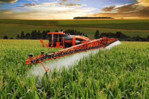 Adubação foliar em plantas de interior: dicas essenciais