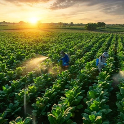 Como otimizar a adubação foliar para maximizar a produção