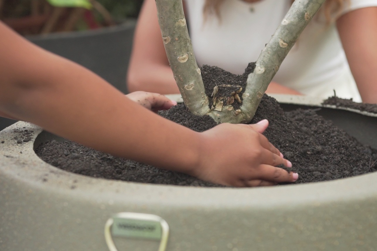 Adubos líquidos: práticos e eficientes