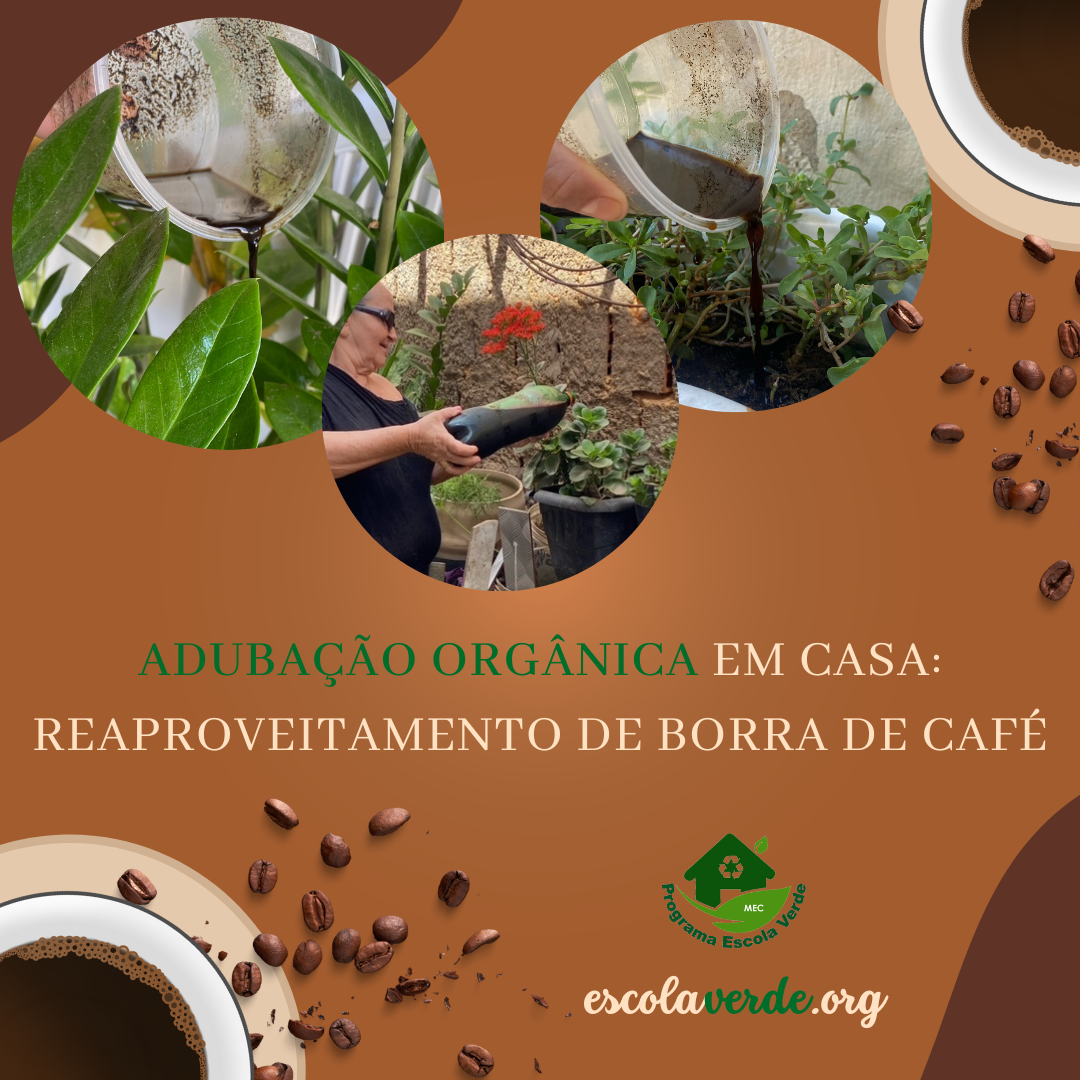 adubação orgânica para plantas de interior