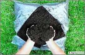 Adubação de gramado no inverno: cuidados essenciais