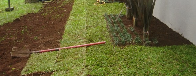 Como identificar a necessidade de adubação do seu gramado