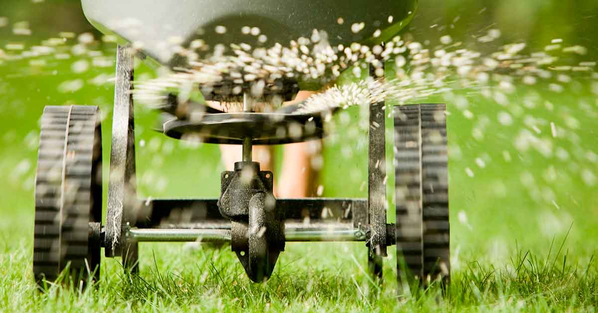 Guia completo de adubos orgânicos para um gramado mais verde