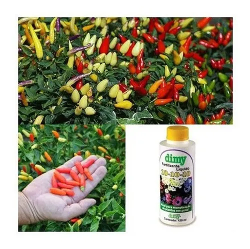 Os 5 erros mais comuns na adubação de pimenteiras