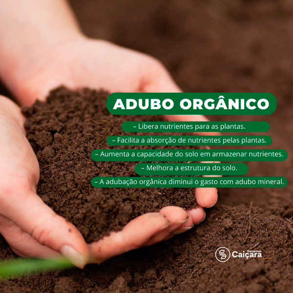 adubo orgânico