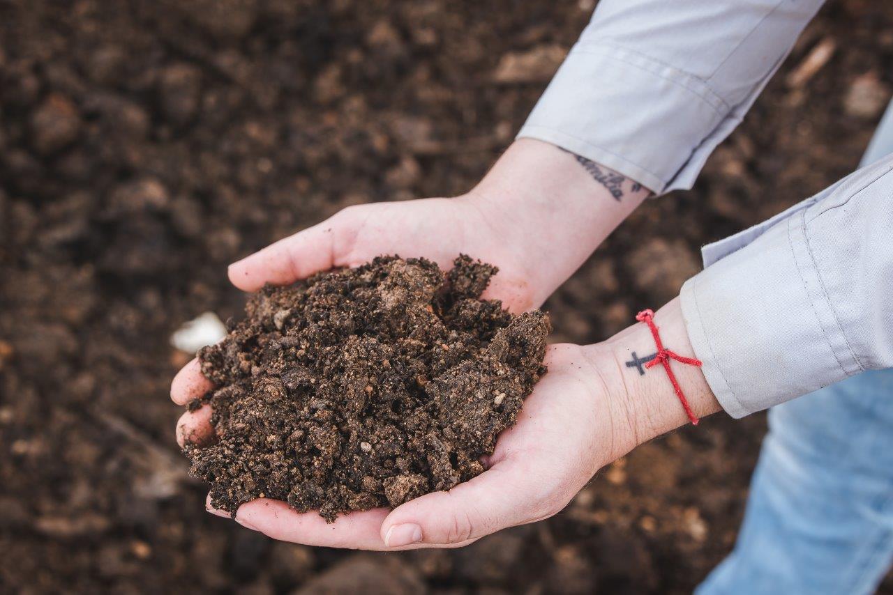 composto orgânico