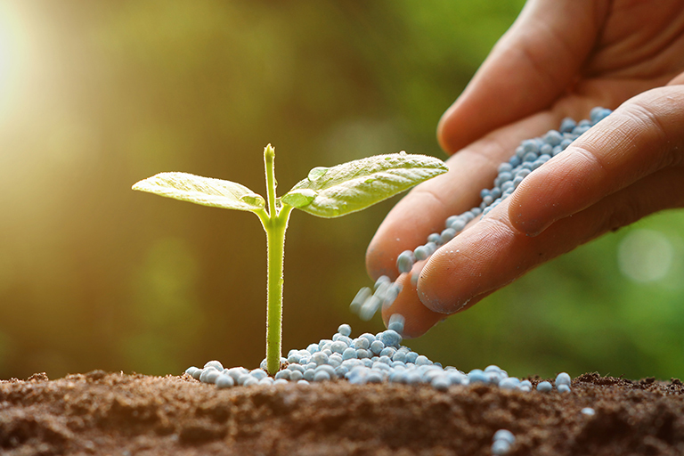 Como fazer compostagem caseira para adubo orgânico
