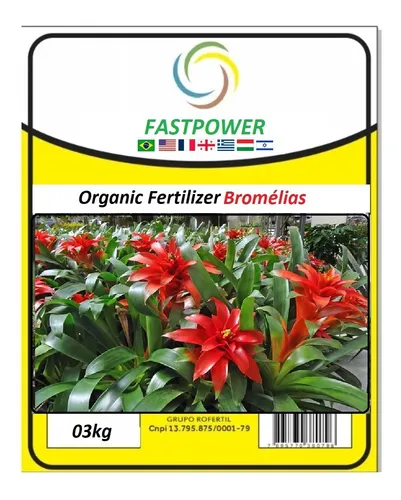 Prevenção de Mosquitos em Bromélias: Dicas com Húmus e Borra de Café