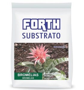 adubo para bromélias