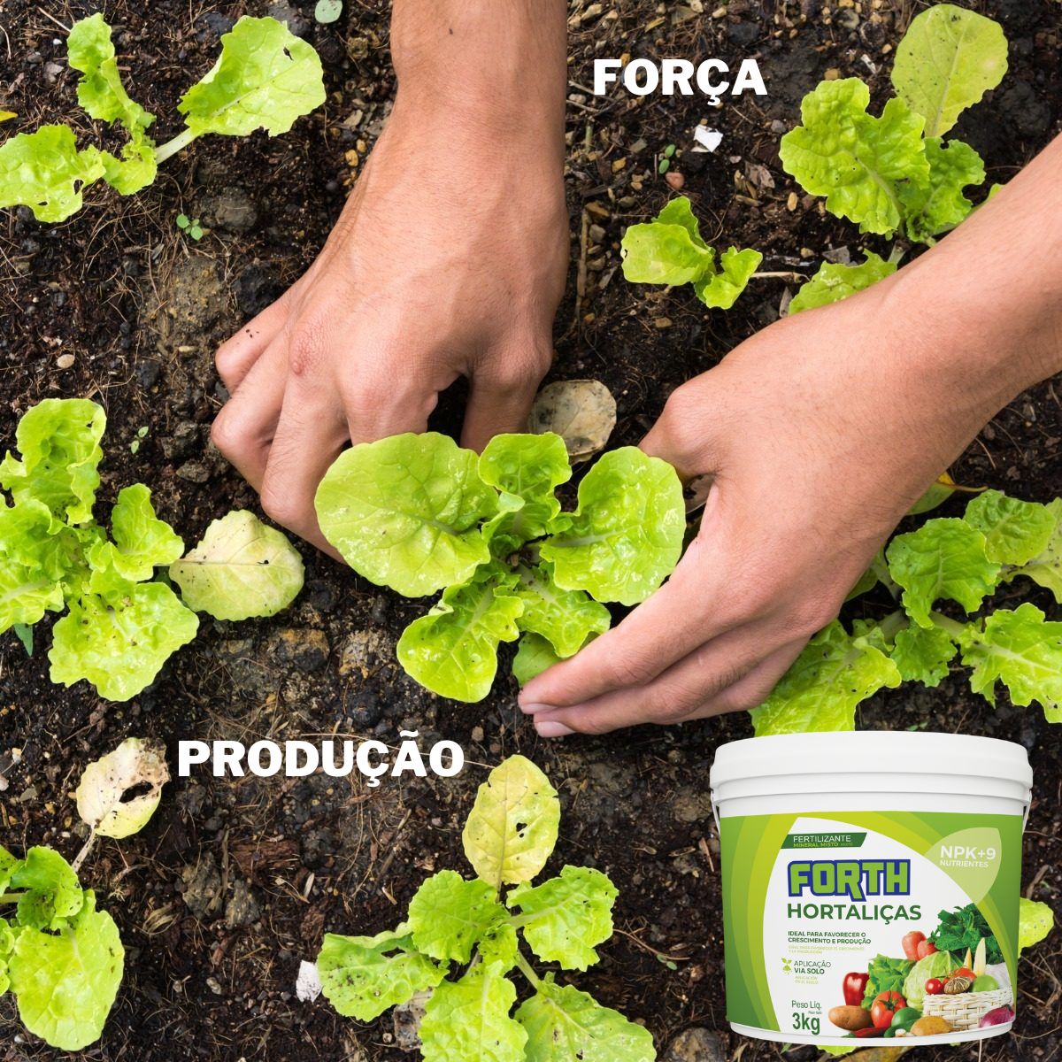 Como fazer Bokashi em casa