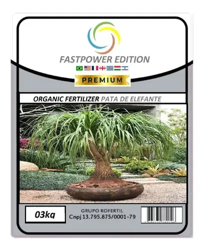 pata de elefante folhas amarelas o que fazer